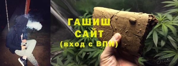 прущие грибы Белокуриха