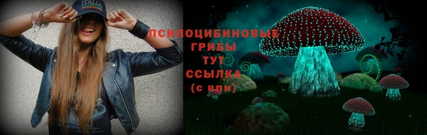 прущие грибы Белокуриха