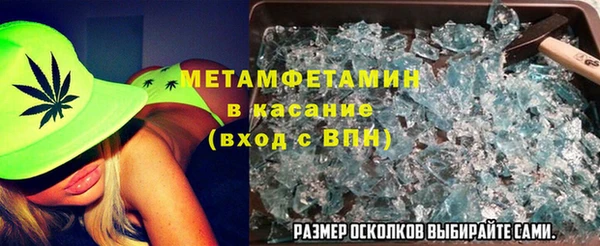 прущие грибы Белокуриха