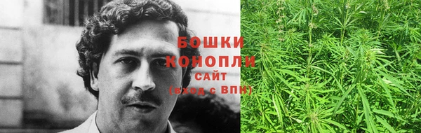 прущие грибы Белокуриха