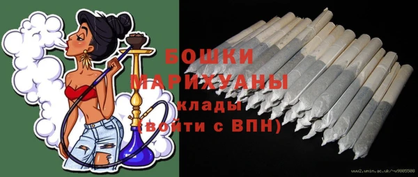 прущие грибы Белокуриха