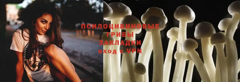 Псилоцибиновые грибы Magic Shrooms  Володарск 