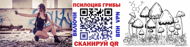 купить закладку  Володарск  Псилоцибиновые грибы Psilocybe 